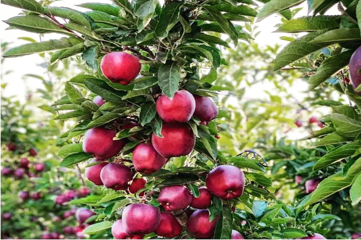 Uttarakhand Tour Gallery